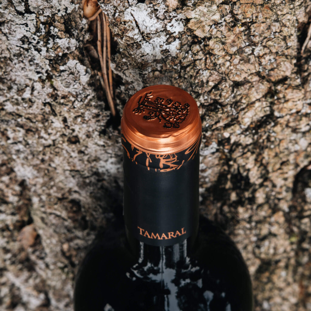 TAMARAL 2 16 1