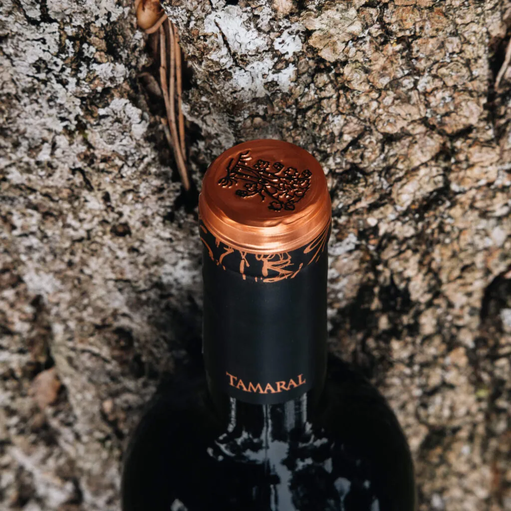 TAMARAL 2 16 1