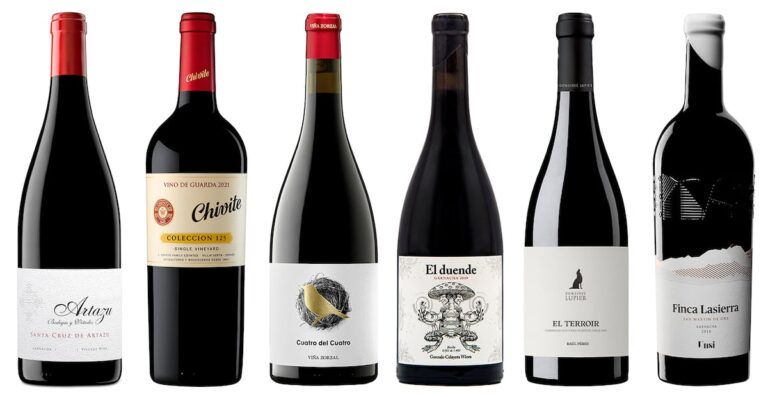 Seis tintos navarros que desafían al rosado en tu próxima copa de vino 50 TT44DRJ75REUHE4GMFK37VKVC4