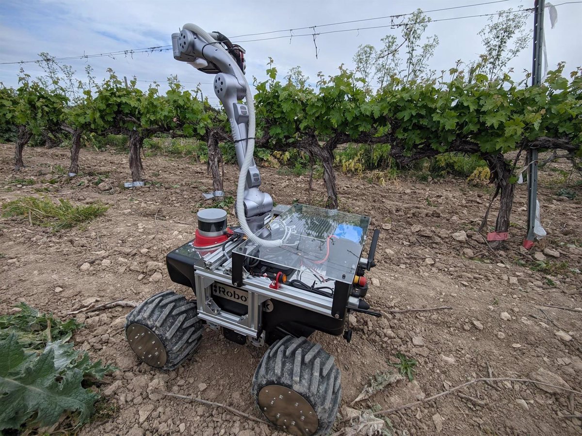 Telefónica y UPM mejoran la producción de viñedos con tecnología innovadora 1 Telefonica y UPM mejoran la produccion de vinedos con tecnologia