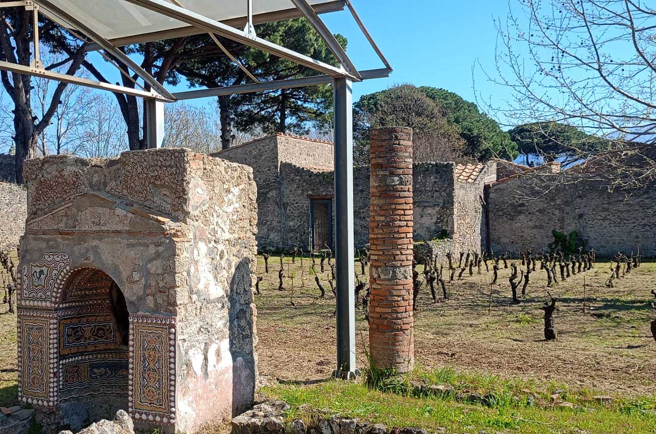 Vermú en Pompeya, nace un viñedo orgánico en el parque arqueológico 1 Vermu en Pompeya nace un vinedo organico en el parque