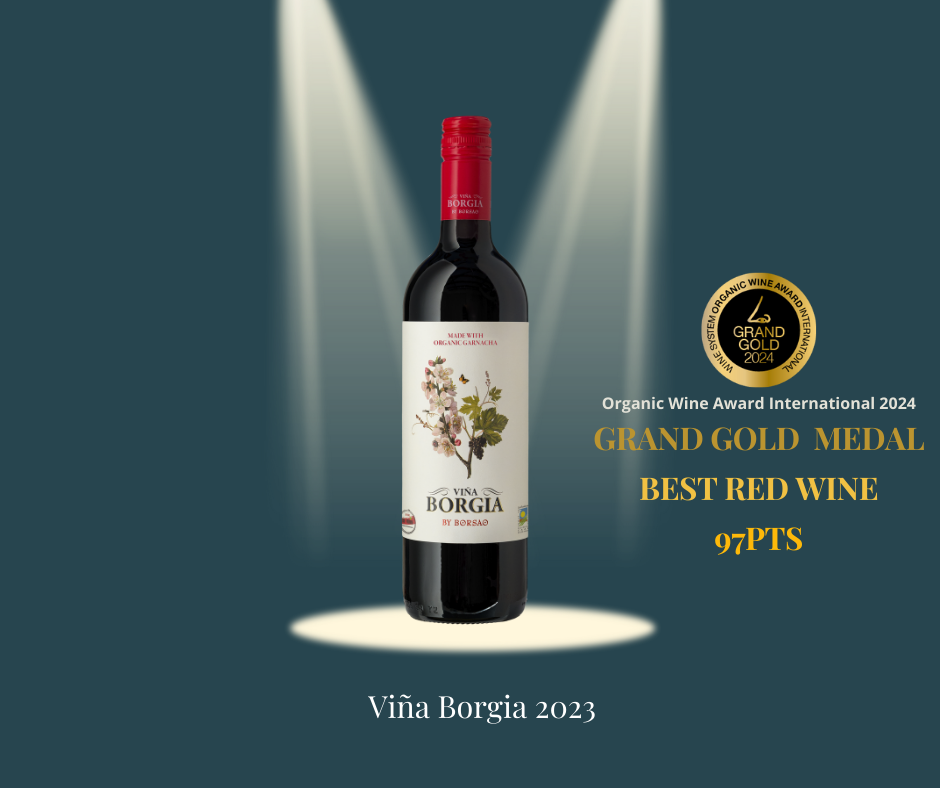 Viña Borgia 2023, Mejor Vino Tinto Español en Concurso Europeo Importante 1 Vina Borgia 2023 Mejor Vino Tinto Espanol en Concurso Europeo