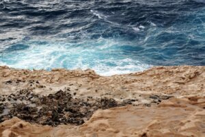 Vinas bajo el agua
