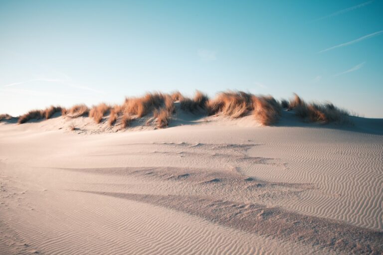 Viñas en desiertos: El milagro del vino en el desierto más árido del mundo 39 Vinas en desiertos