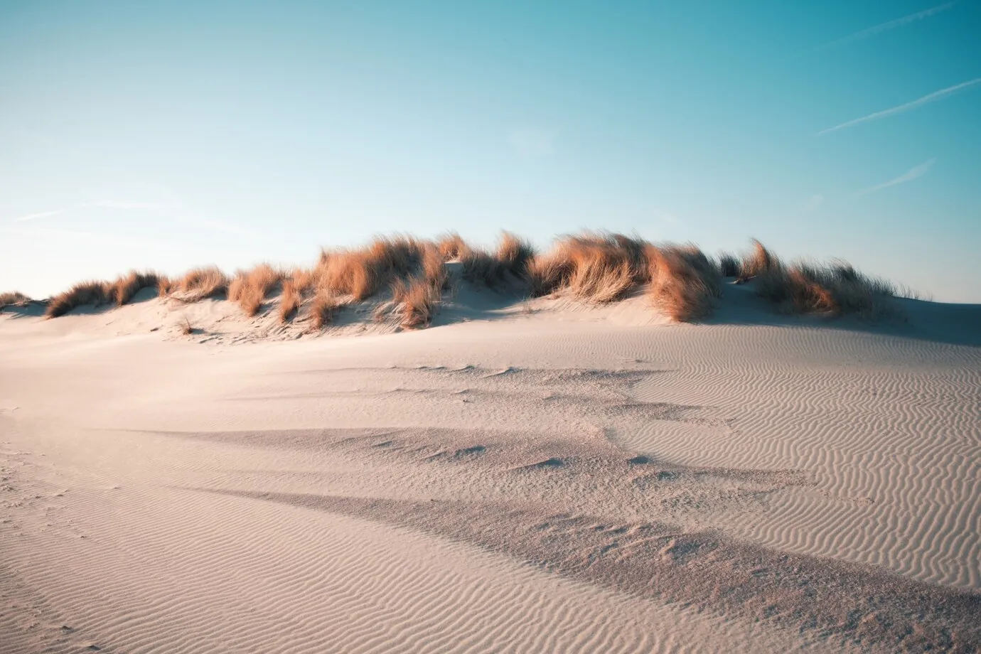 Viñas en desiertos: El milagro del vino en el desierto más árido del mundo 1 Viñas en desiertos: El milagro del vino en el desierto más árido del mundo