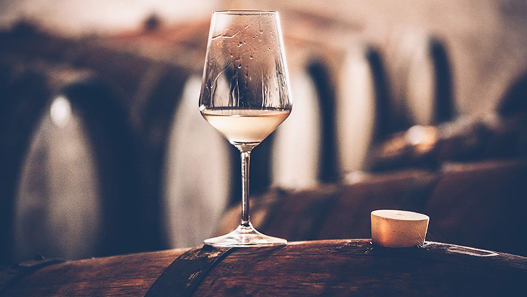 Ni vino español ni mercado local: Ciudad Real impulsa la Feria Nacional del Vino en Vietnam 2025 1 Vino 11
