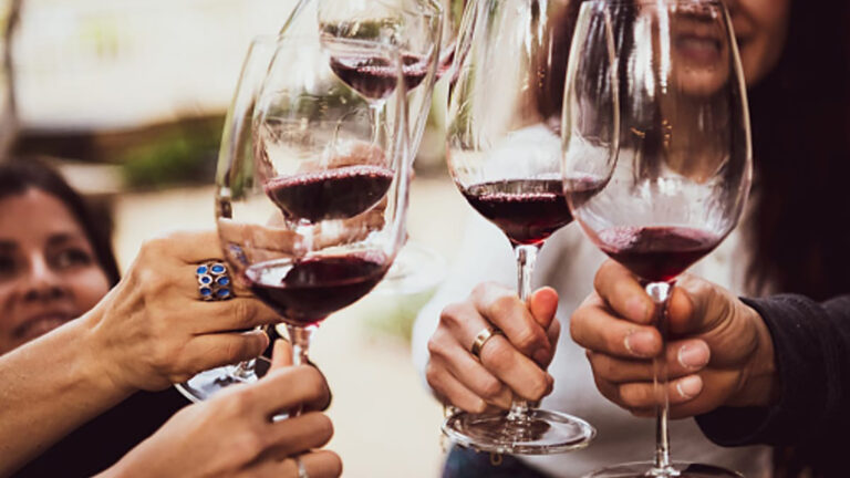 Ruta vitivinícola: la experiencia imprescindible para los amantes del vino 31 Vino 12