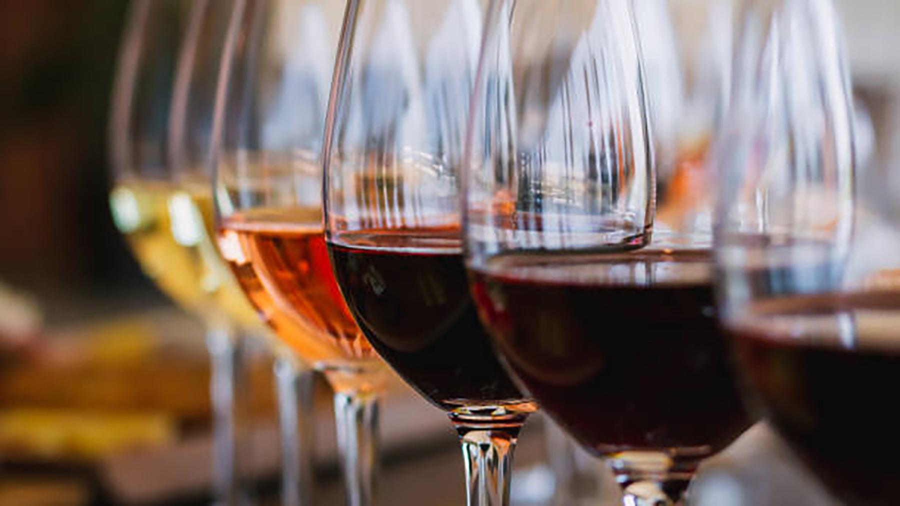 Vino en peligro: Aranceles del 200% amenazan el acceso al mercado estadounidense 1 Vino 14
