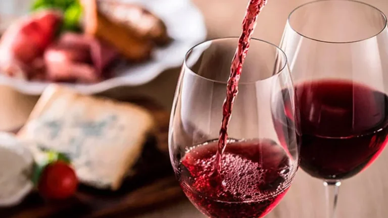 Vino 19.webp