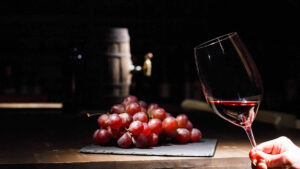 Vino 6