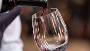 El secreto del tinto perfecto: por qué Ribera del Duero está conquistando las mesas (y tu bolsillo)
