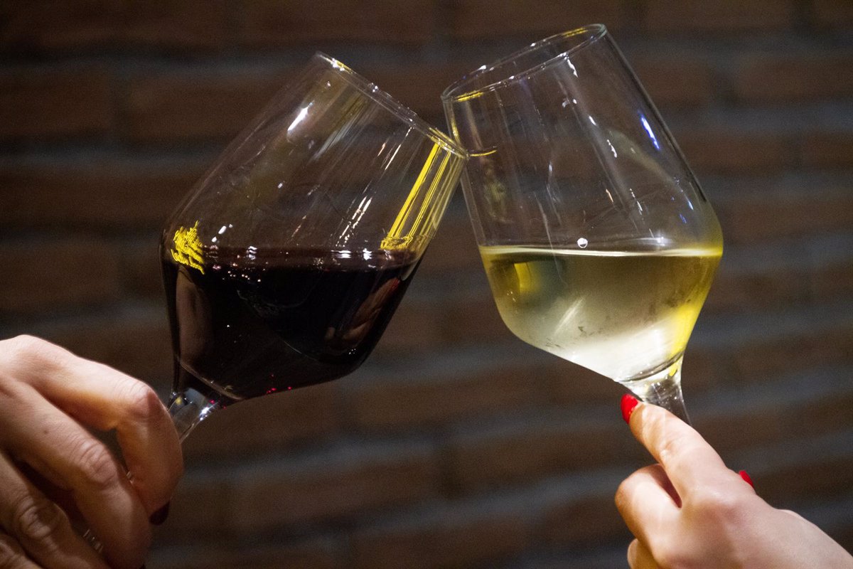 Vinos de Castilla y León destacan por su calidad y singularidad en España 1 Vinos de Castilla y Leon destacan por su calidad y