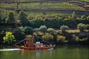 24 horas en el Alto Duero: un viaje de tradición y serenidad en la tierra del vino 10 YBOPHAEUL5BJZM5KKY7LXRLL3U