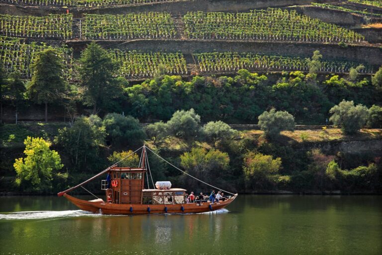 24 horas en el Alto Duero: un viaje de tradición y serenidad en la tierra del vino 42 YBOPHAEUL5BJZM5KKY7LXRLL3U