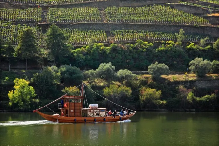 24 horas en el Alto Duero: un viaje de tradición y serenidad en la tierra del vino