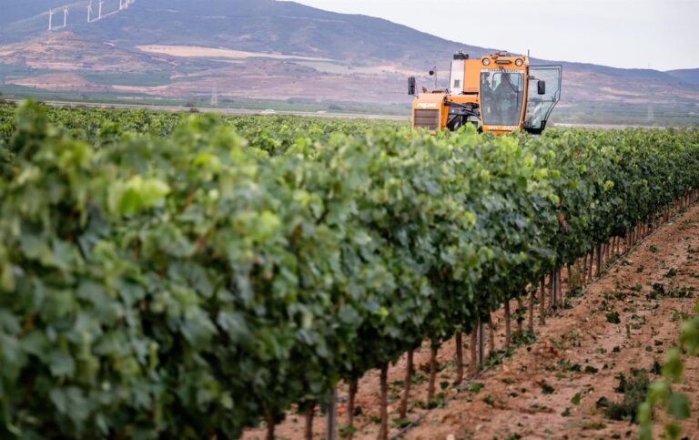 Justicia protege la unidad en los vinos de Rioja ante posibles conflictos 48 ZCVYHC4ZS5HFNI5UGSLLRIUW6M