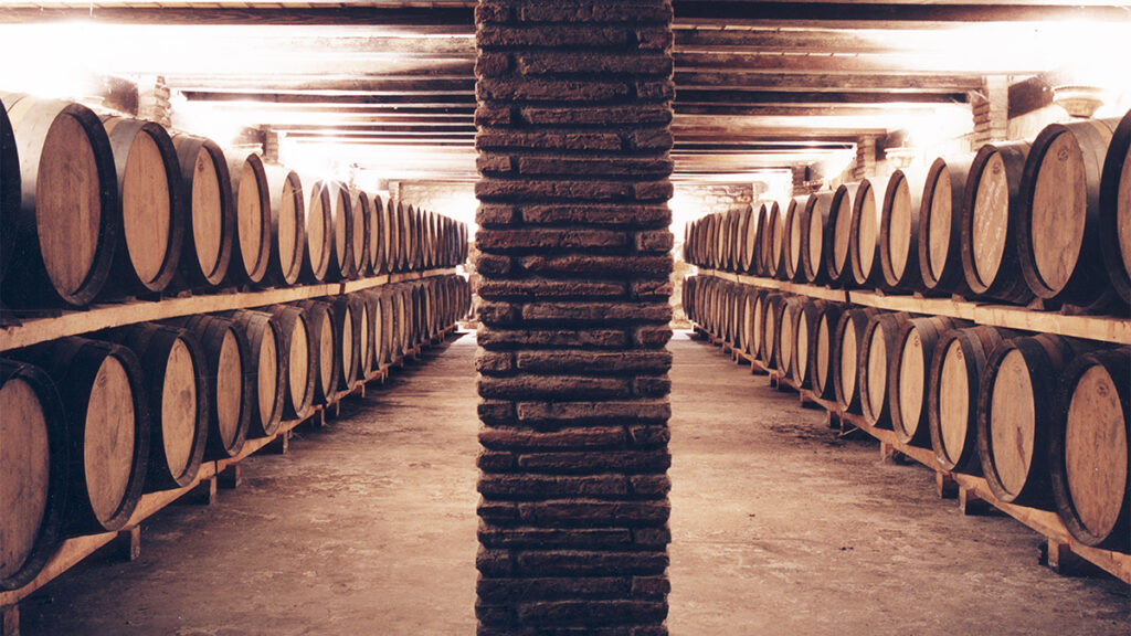 Bodegas Vallobera: 2.000 barricas y un viñedo a 680 metros en Rioja Alavesa 5 barricas ant
