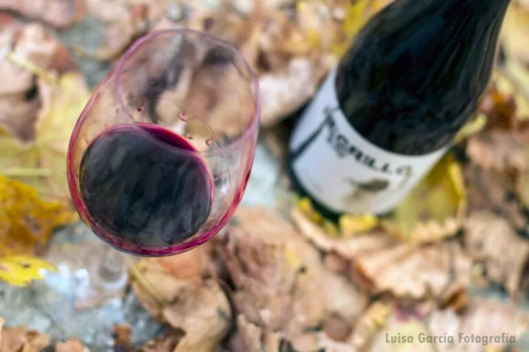 Cariñena inicia la cuenta atrás: descubre las actividades de su Capitalidad del Vino