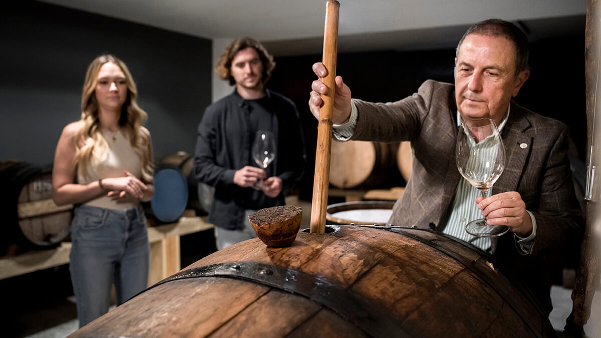 Recomendaciones, uso y compra de decantadores de vino 1 elaboracion del vino