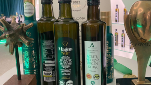 El aceite de oliva virgen extra de Jaén se