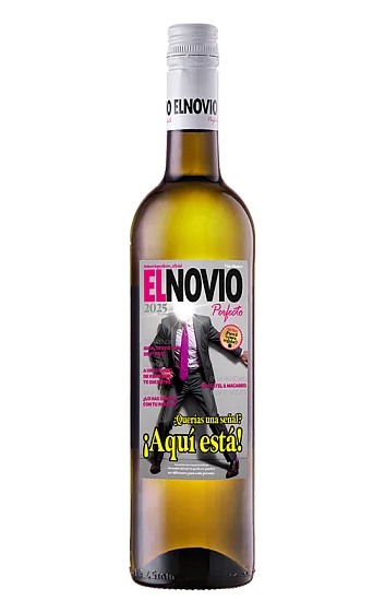 El Novio Perfecto 2025
