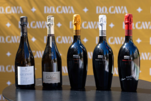 D.O. CAVA