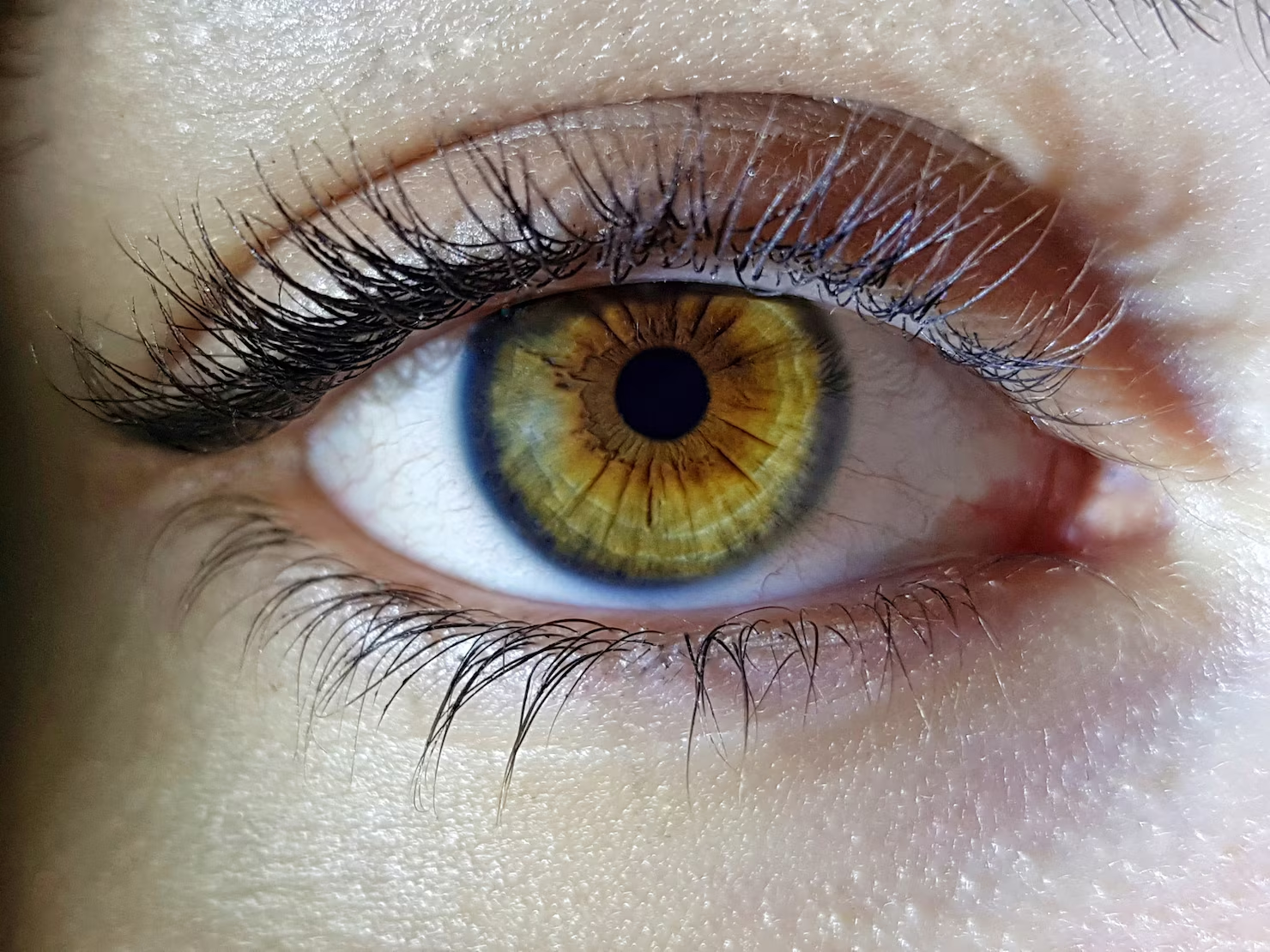 Síndrome de Alejandría: 8 mitos reales de los ojos violeta 1 Síndrome de Alejandría