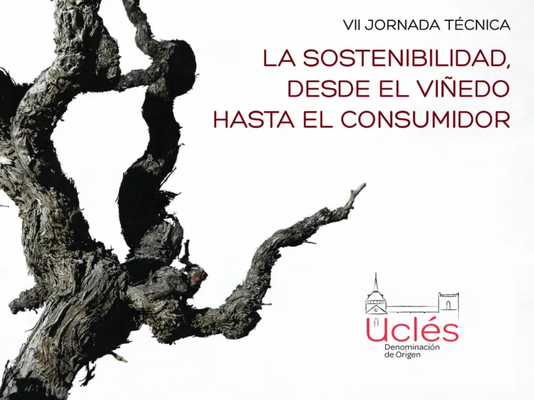 Jornada en Uclés sobre sostenibilidad y huella de carbono en el vino