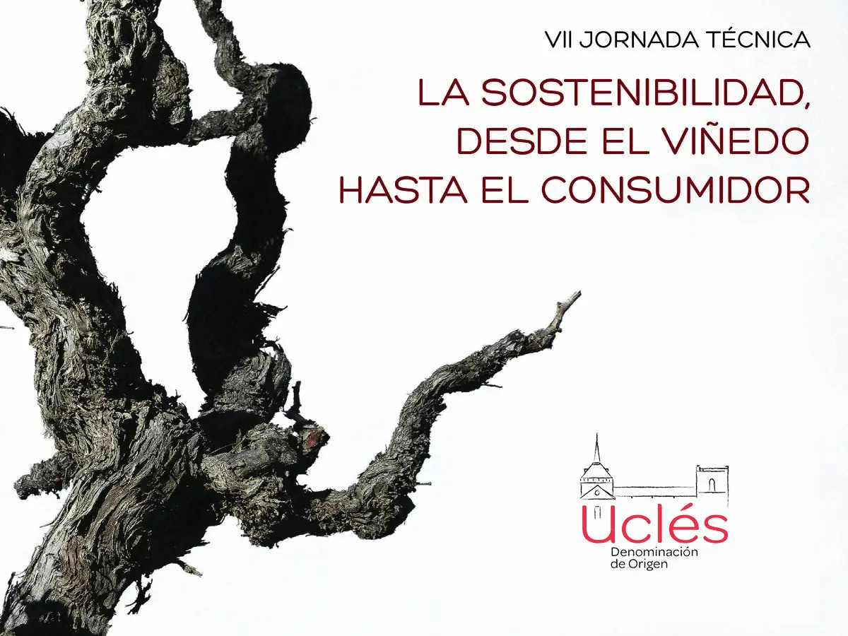 Jornada en Uclés sobre sostenibilidad y huella de carbono en el vino 1 Jornada en Uclés sobre sostenibilidad y huella de carbono en el vino
