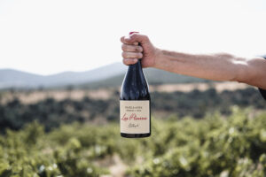 El vino español Fabla #506 arrasa en los Decanter World Wine Awards con 95 puntos y Medalla de Oro 9 las pizarras fabla raices ibericas