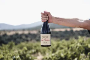 El vino español Fabla #506 arrasa en los Decanter World Wine Awards con 95 puntos y Medalla de Oro