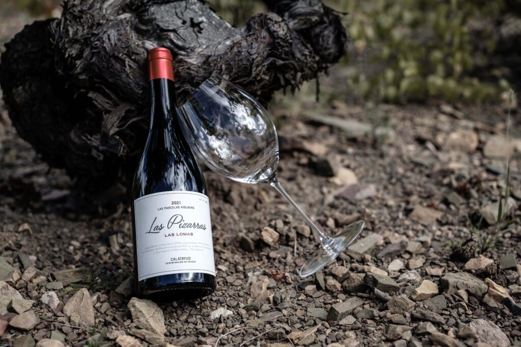 Aragón entra en el prestigioso ‘World Atlas of Wine’ con Raíces Ibéricas logrando dos de las mejores puntuaciones 2 las pizarras las lomas