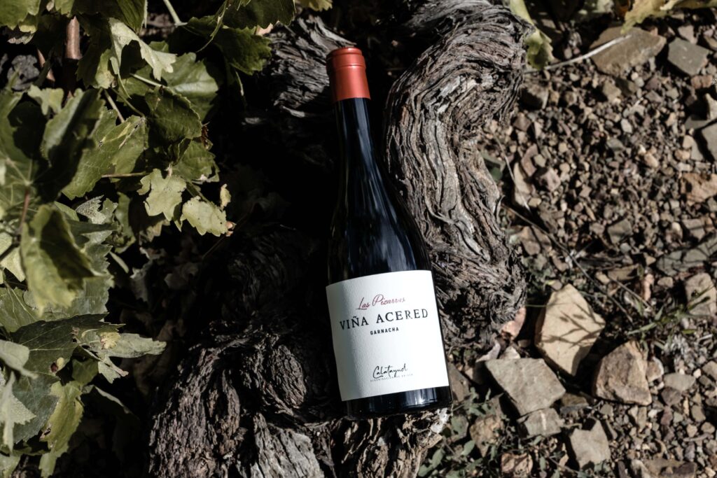 Aragón entra en el prestigioso ‘World Atlas of Wine’ con Raíces Ibéricas logrando dos de las mejores puntuaciones 3 las pizarras vina acered