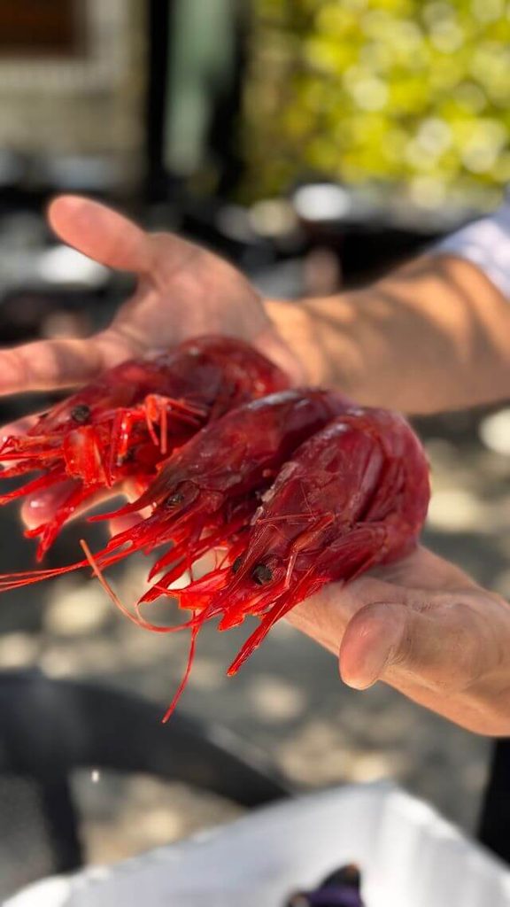 La Mesa de Guadarrama, el nuevo espacio de brasa y cocina mediterránea que revoluciona las sobremesas de Madrid 2 loCqdYGA