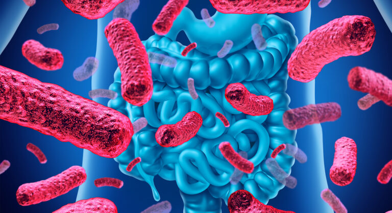Los 8 superalimentos probióticos que recomienda una nutricionista para reforzar tu salud intestinal 2 probioticos