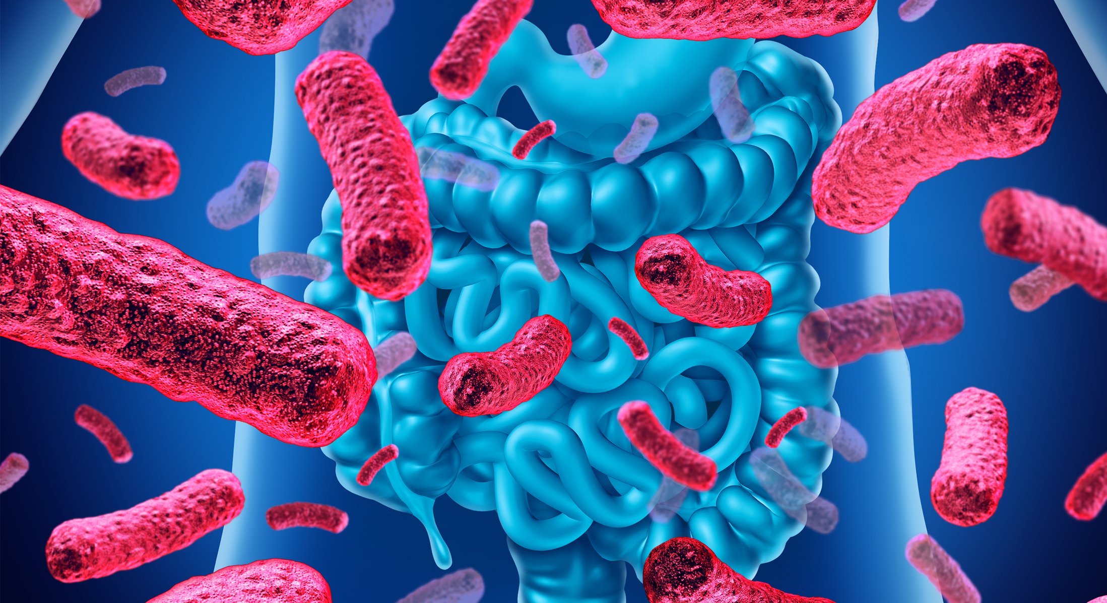 Los 8 superalimentos probióticos que recomienda una nutricionista para reforzar tu salud intestinal 1 probioticos