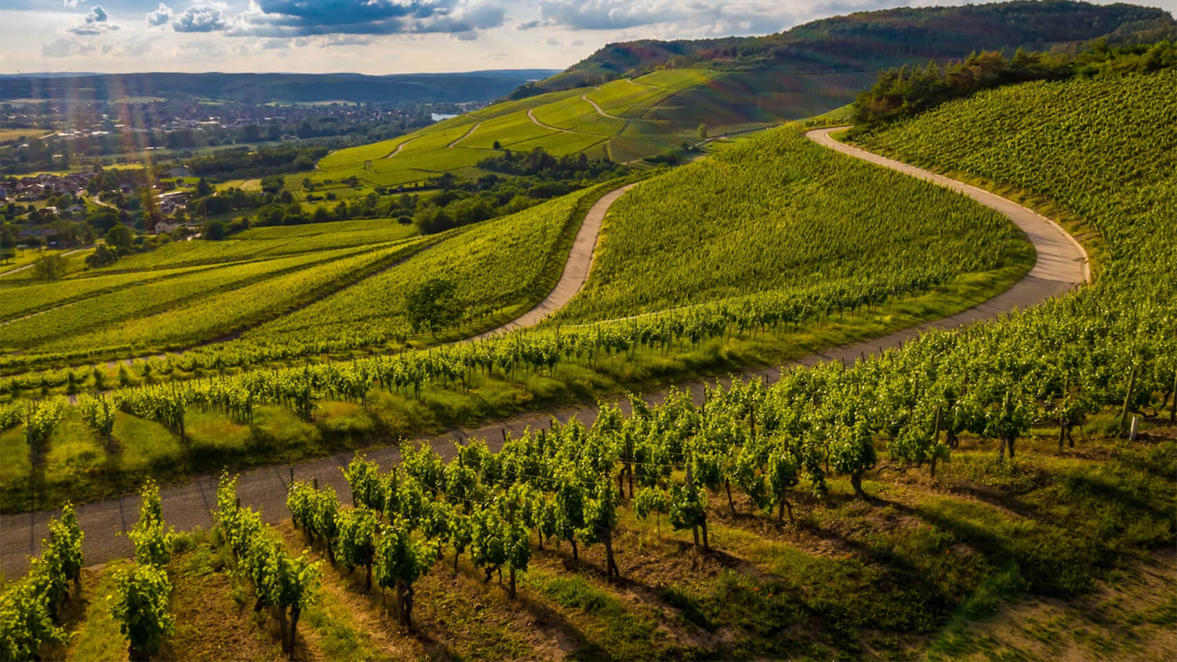 La Ruta del Vino del Bierzo podría desaparecer: “Si no hay apoyo, se disuelve” 1 ruta vino