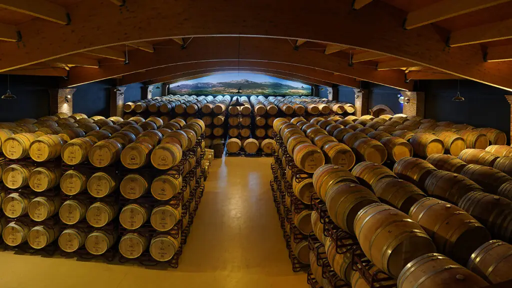 sala barricas 1