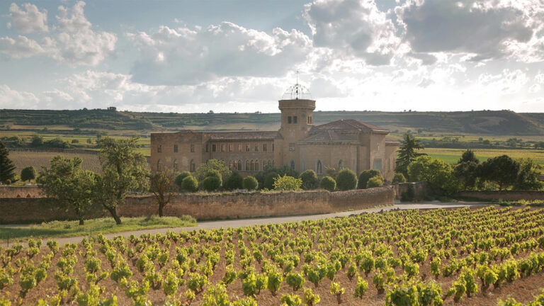El único pueblo de Rioja donde puedes ver cómo el vino empieza con los pies dentro del lagar 3 san asensio la rioja
