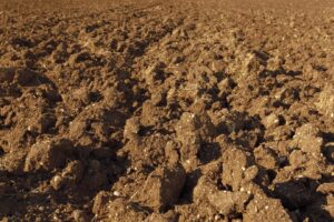 terroir