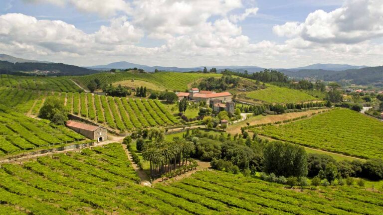 Todo lo que debes saber sobre el Rías Baixas Albariño