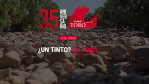 Denominación de Origen Toro: Tradición, Excelencia y Proyección Internacional 10 DO Toro