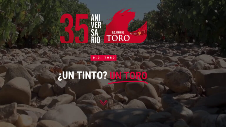 Denominación de Origen Toro: Tradición, Excelencia y Proyección Internacional 47 DO Toro