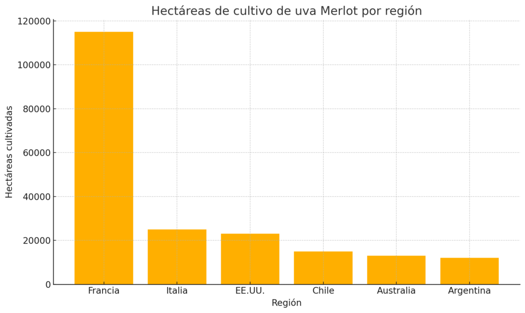Uva Merlot: todo lo que debes saber sobre esta variedad de vino 3 uva Merlot 2 1