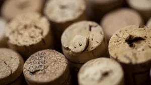 Bodegas Faustino Winery: una nueva extensión que redefine la sostenibilidad en el vino