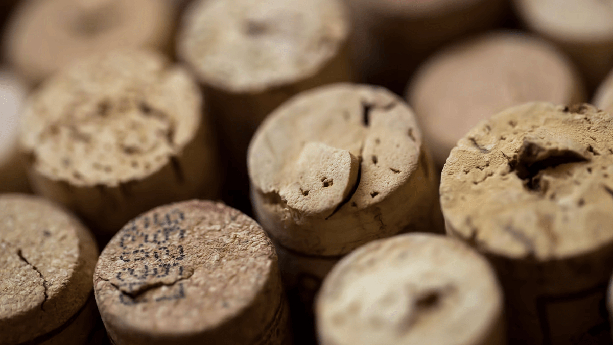 Rías Baixas: seis fiestas del vino que celebran la magia de la uva en diciembre 1 vino 28