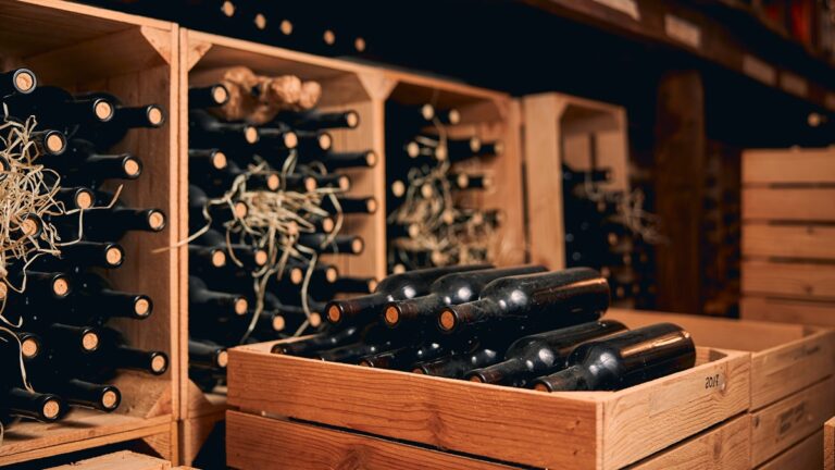 ¿Cómo valorar tus vinos y maximizar su precio en el mercado? 28 ¿Como valorar tus vinos y maximizar su precio en el